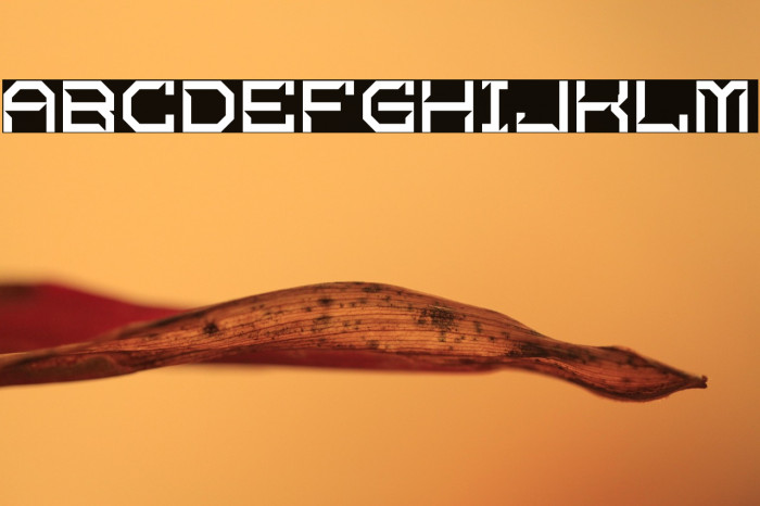 Skomelr Quantum Example 1