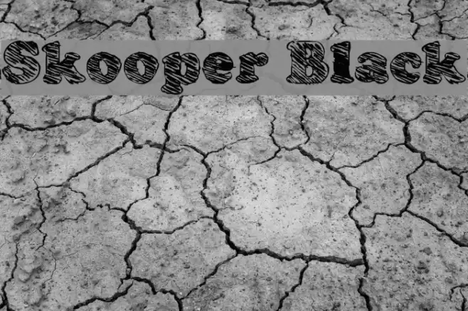Skooper Black Font examples