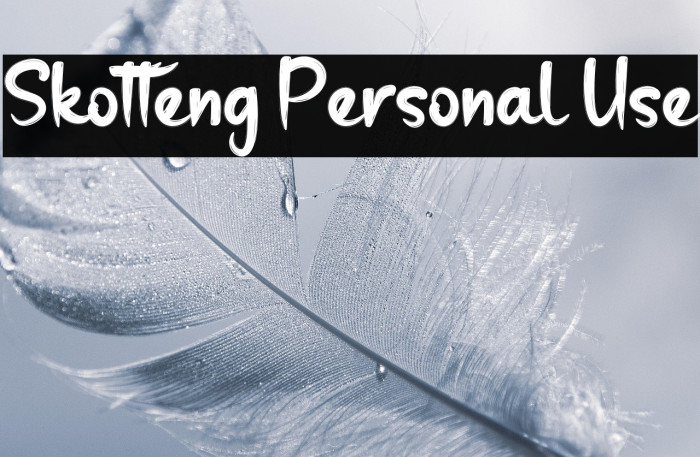 Skotteng Personal Use Example 1