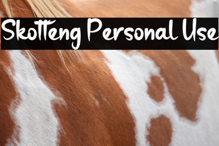 Skotteng Personal Use Example 2