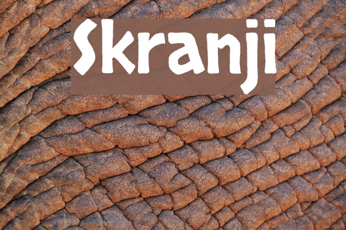 Skranji Font examples