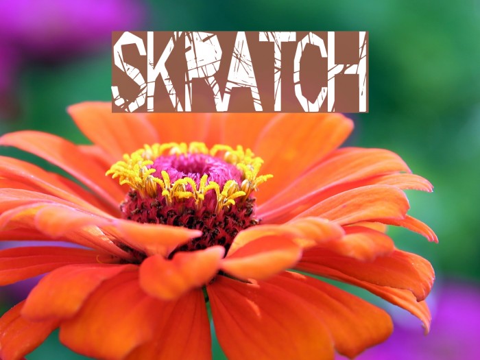 Skratch Example 2
