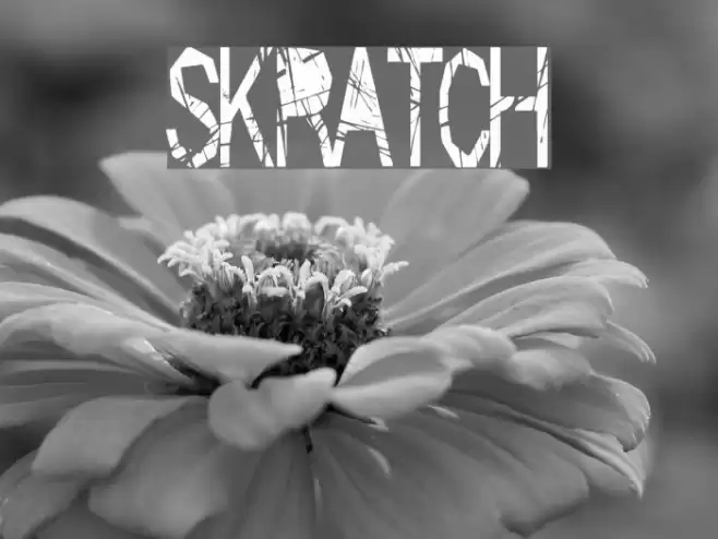 Skratch Font examples