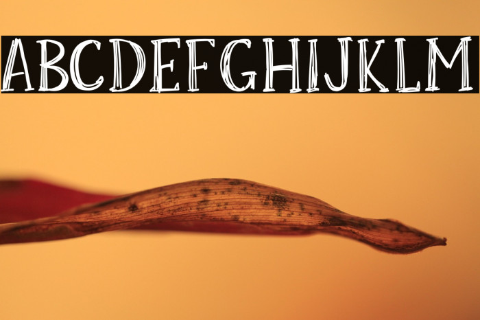 Skrawk Serif Example 1