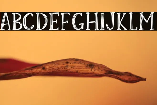 Skrawk Serif Example 1