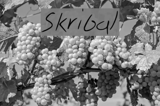 Skribal Font examples