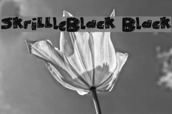SkribbleBlack Black Font examples