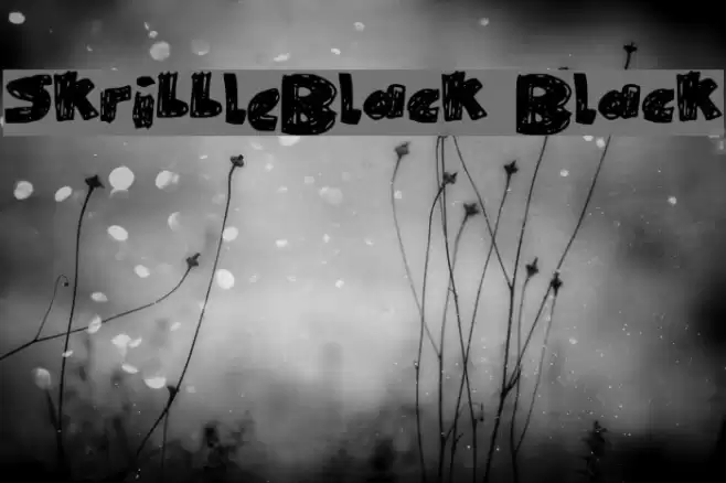 SkribbleBlack Black Font examples
