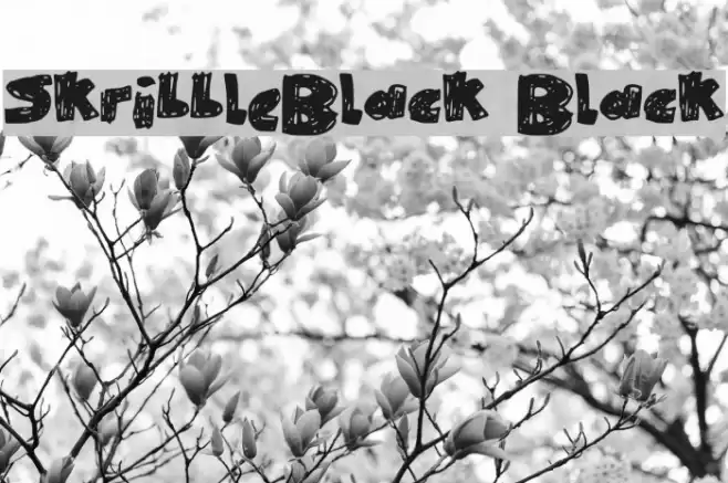 SkribbleBlack Black Font examples