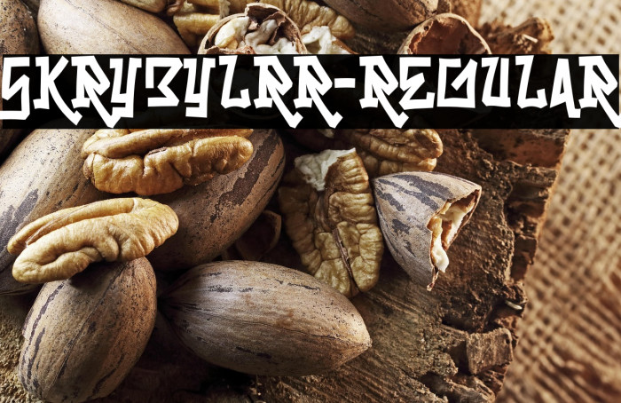 Skrybylrr-Regular Example 1