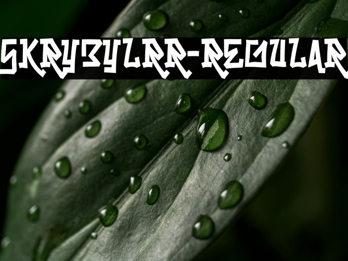 Skrybylrr-Regular Example 3