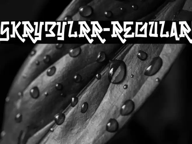 Skrybylrr-Regular Font examples