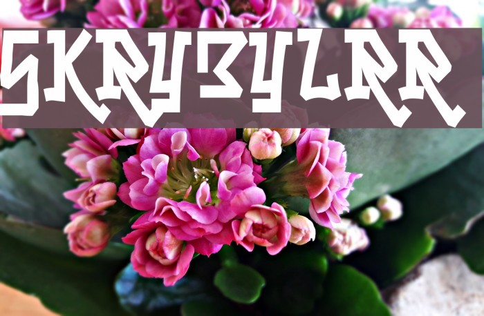 Skrybylrr Шрифта examples