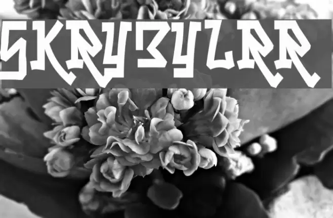 Skrybylrr Font examples