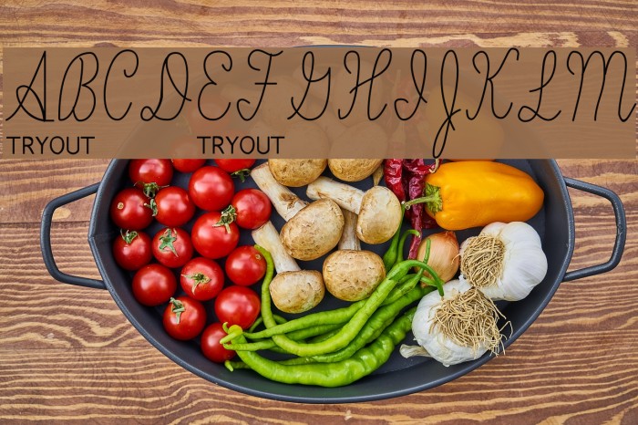 Skryptaag Tryout Font examples