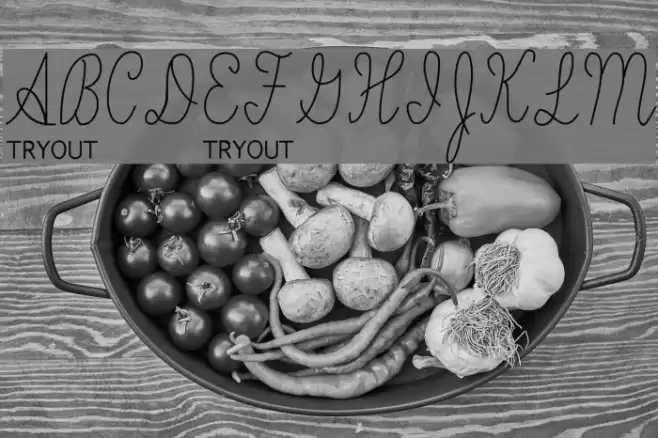 Skryptaag Tryout Fuentes examples