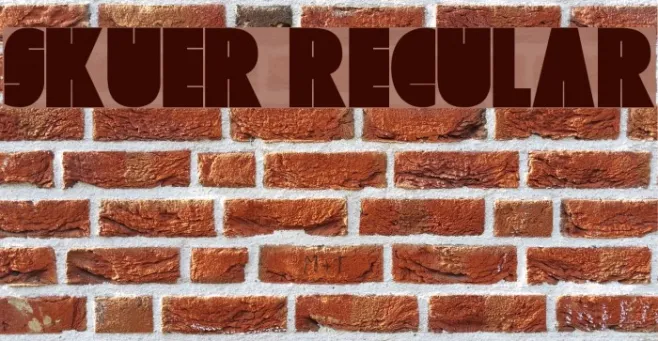 Skuer Regular Example 1