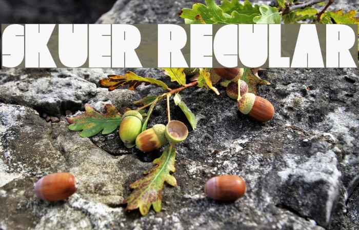 Skuer Regular Font examples