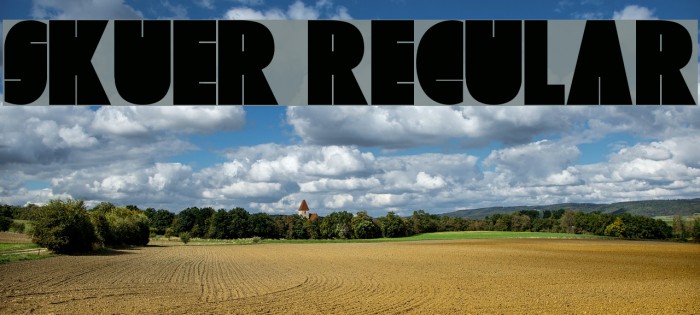 Skuer Regular Font examples
