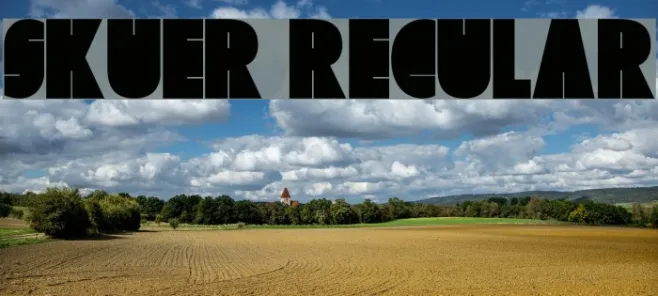 Skuer Regular Example 3