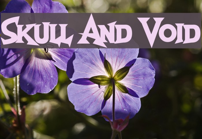Skull And Void Font examples