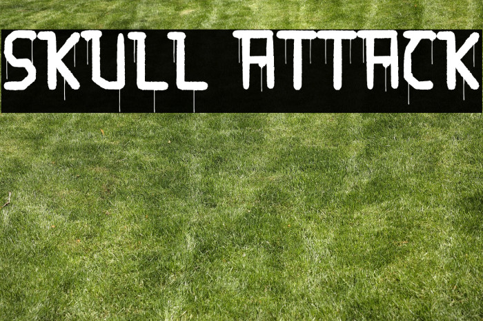 Skull Attack Example 2