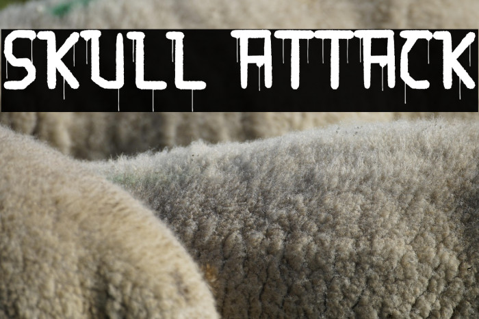 Skull Attack Example 3