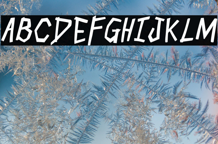 Skull Cracker Bold Italic Example 1