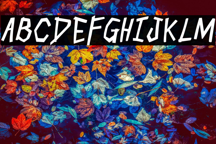 Skull Cracker Bold Italic Example 2