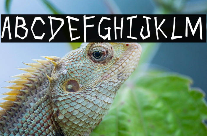 Skull Cracker Example 1