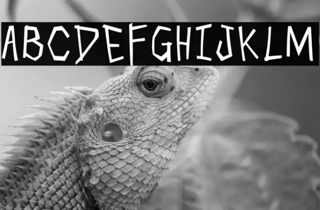 Skull Cracker Font examples