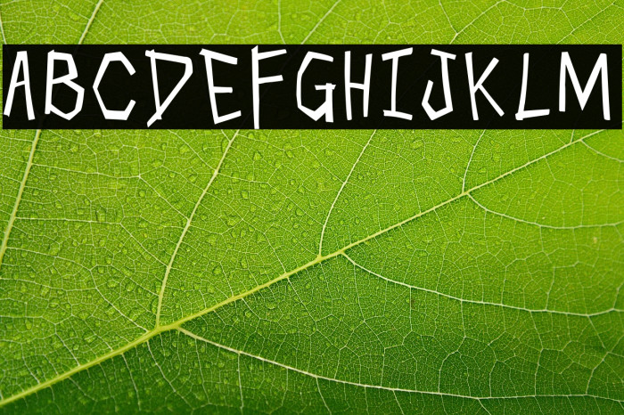 Skull Cracker Example 2