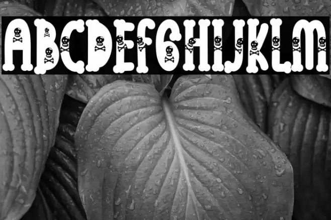 Skull Night Font examples