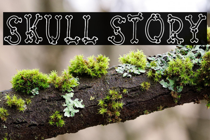 Skull Story Example 3