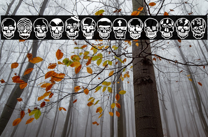 Skulls Party Icons Example 1