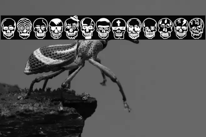 Skulls Party Icons Font examples