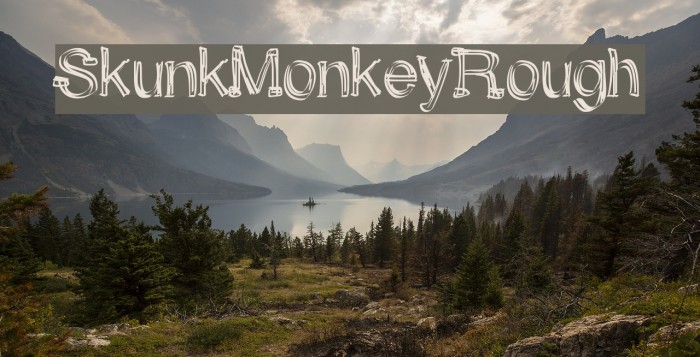 SkunkMonkeyRough Font examples