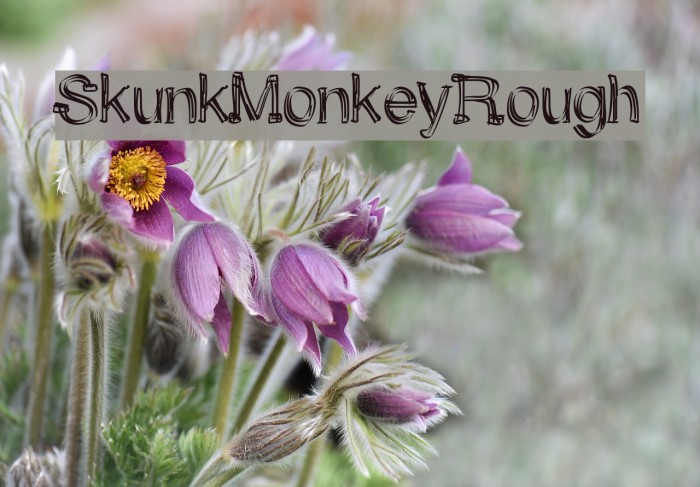 SkunkMonkeyRough Font examples