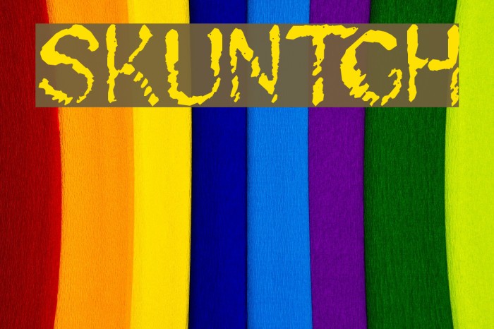 Skuntch Font examples