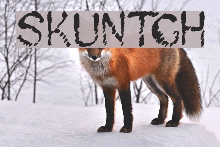 Skuntch Font examples