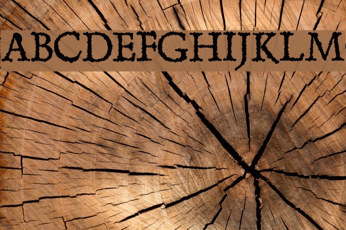 Skurri Font examples