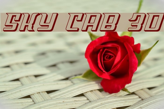 Sky Cab 3D Font examples