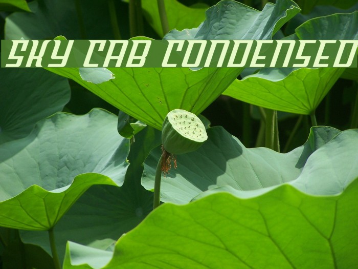 Sky Cab Condensed Font examples
