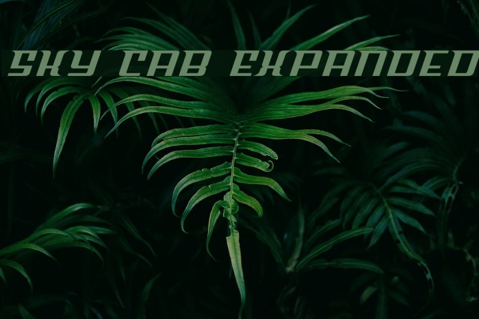 Sky Cab Expanded Font examples