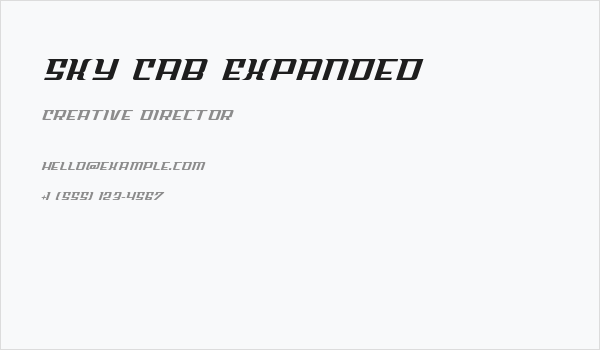 Sky Cab Expanded Business Card