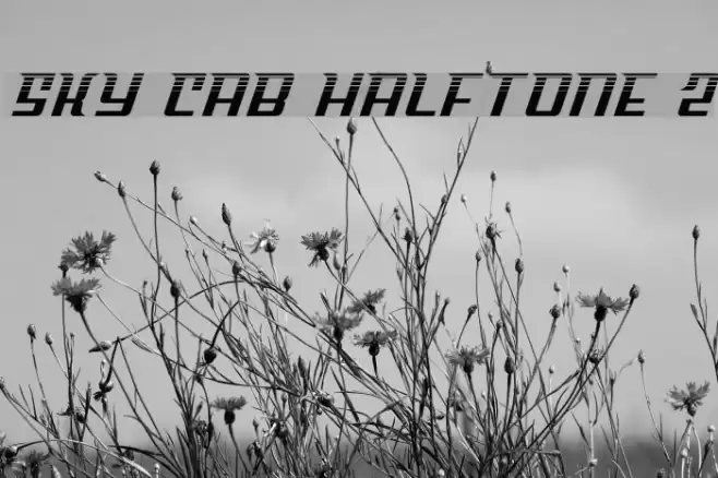 Sky Cab Halftone 2 Font examples