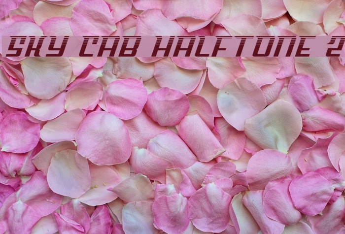 Sky Cab Halftone 2 Example 3