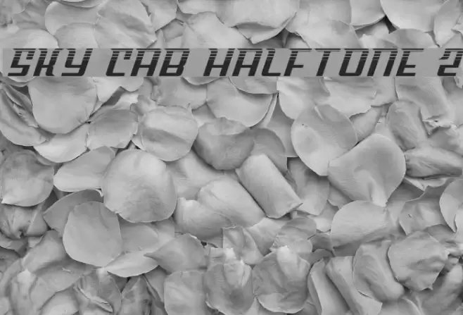Sky Cab Halftone 2 Font examples