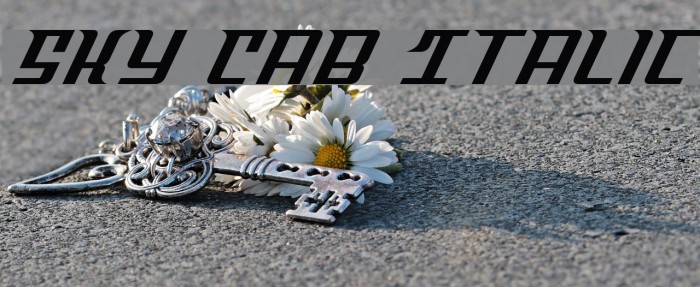 Sky Cab Italic Example 1