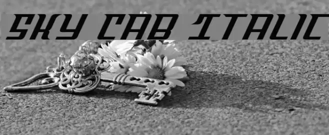 Sky Cab Italic Font examples